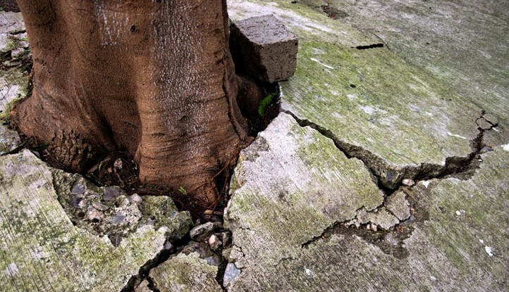 Subsidence Claims Surge – Allianz - Insurance Today